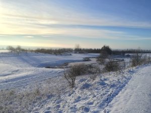 Godt humør og stor aktivitet