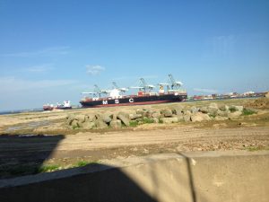 Kæmpe container skib