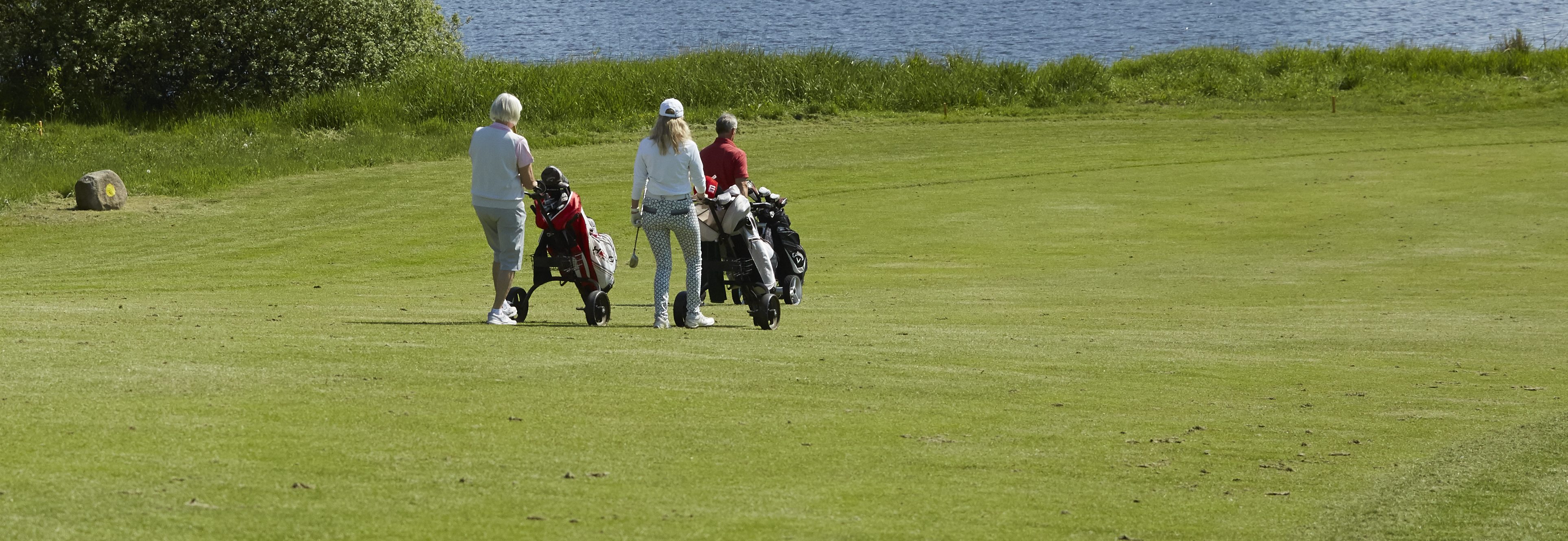 Ledig ledsage til stede Klubbens ansatte | Aarhus Golf Club