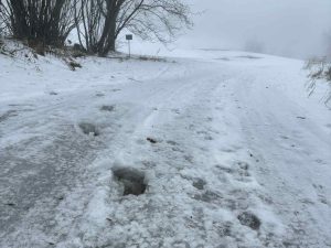 Godt humør og stor aktivitet